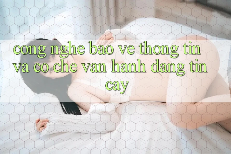 Công Nghệ Bảo vệ thông tin Và Cơ Chế Vận Hành Đáng tin cậy Công Nghệ Bảo vệ thông tin Và Cơ Chế Vận Hành Đáng tin cậy