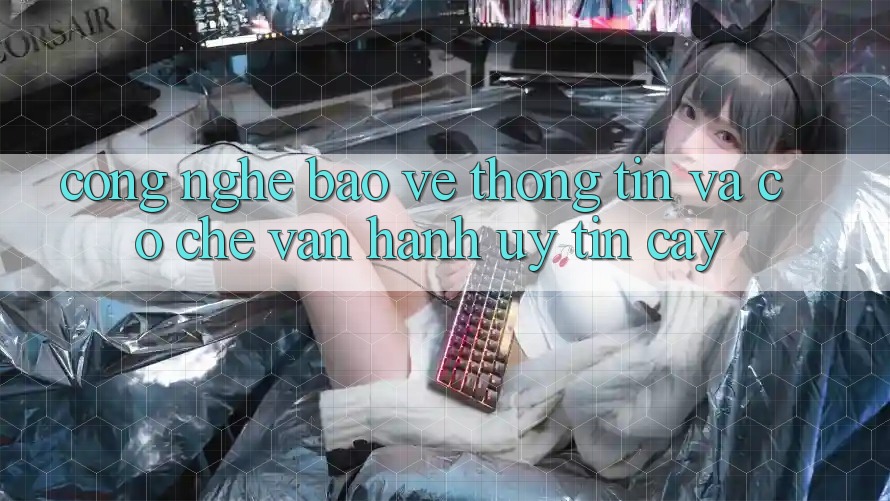 Công Nghệ Bảo vệ thông tin Và Cơ Chế Vận Hành Uy tín cậy