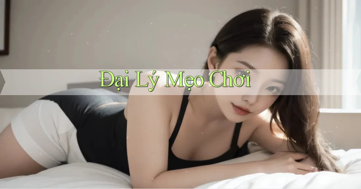 Đại lý Mẹo chơi