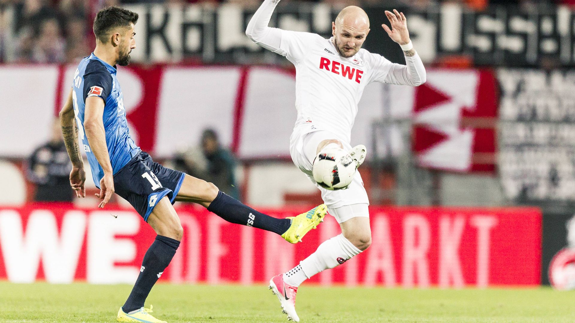 王泽桦-硕士研究生